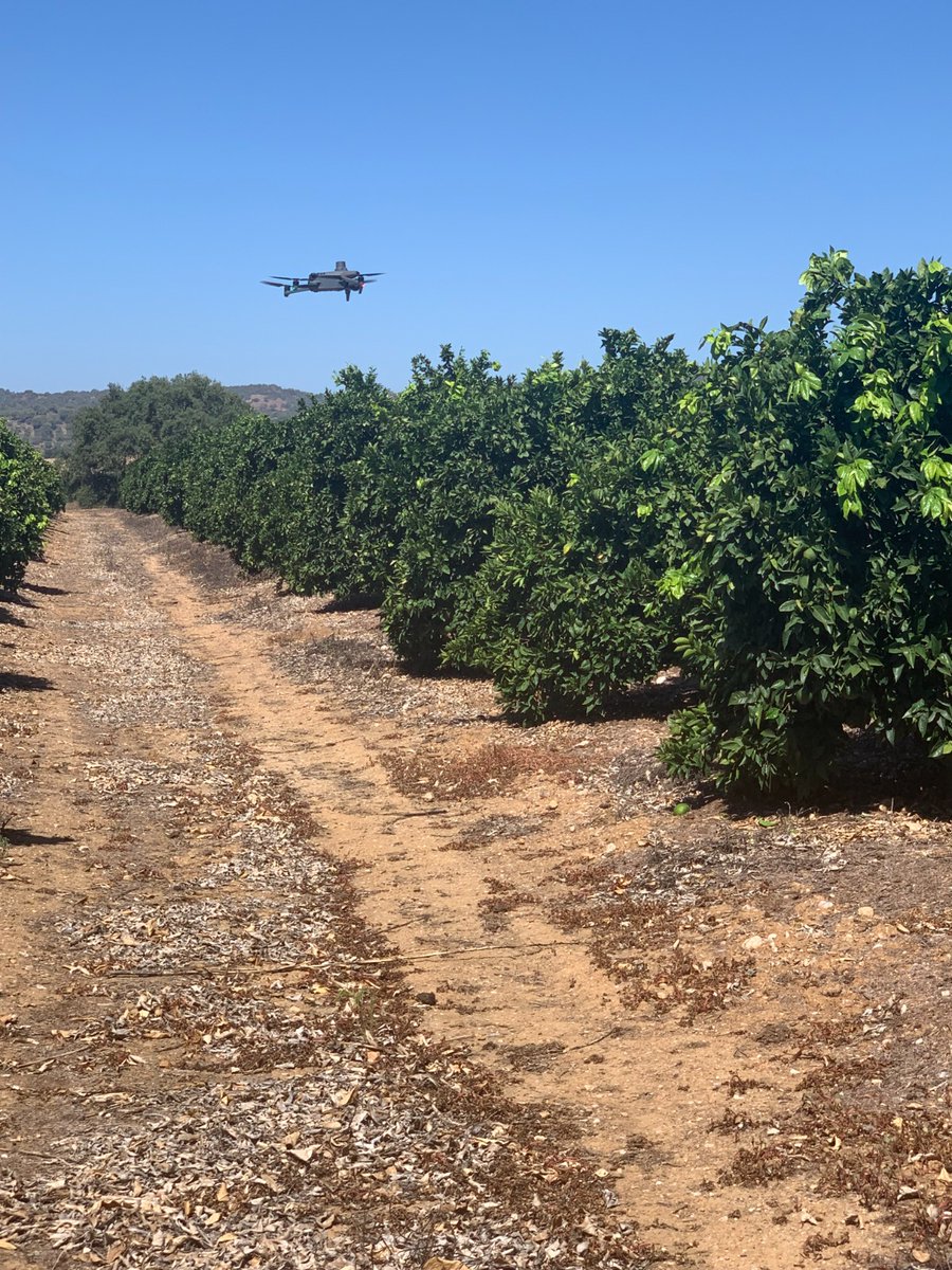 Agrosap tweet media