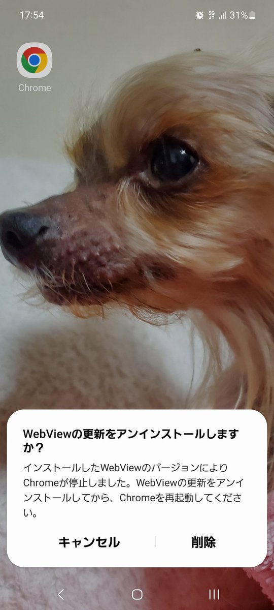 ma_kun4961's tweet image. こうなってググれなくなった😭
調べれないから治し方分からない( ̄▽ ̄;)
#Google 
#WebView