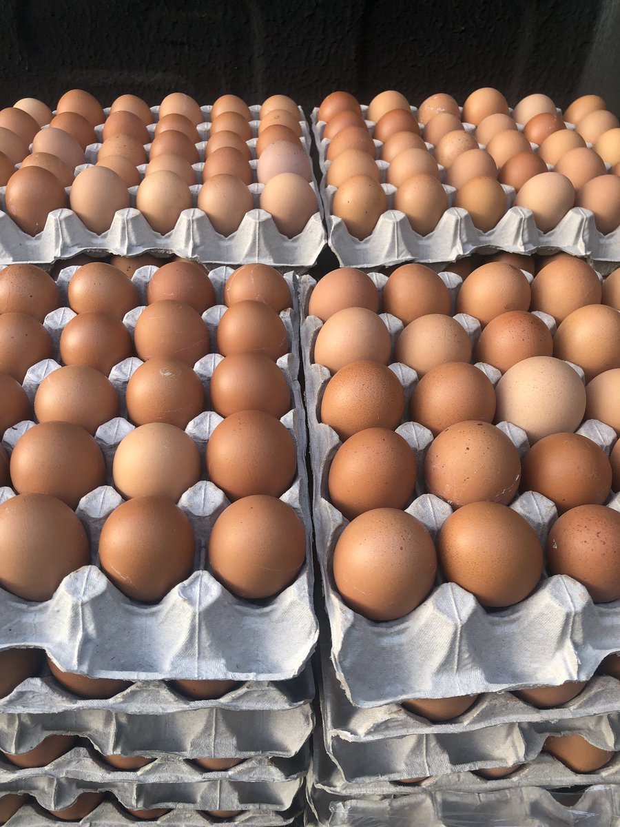 Thread by @Gracelandfarmer on Thread Reader App – Thread Reader App