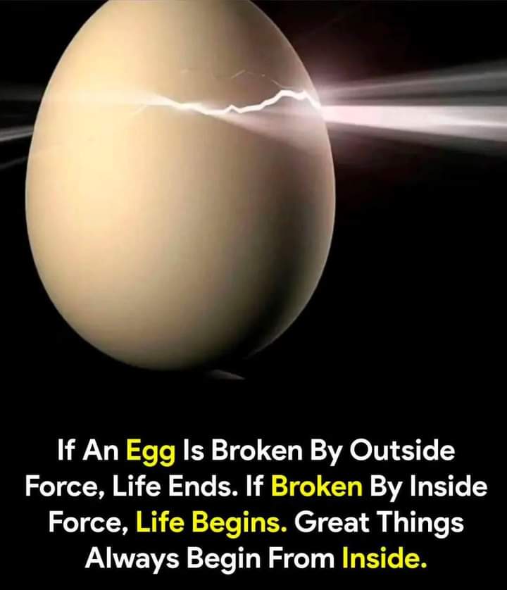 Identity4Muslim's tweet photo. If an egg is broken by outside force, life ends.
If broken by inside force, life begins.
Great things always begin from inside.
#IMS_Vision
#MuslimIdentity
#IslamicMessagingSystem https://t.co/zRQ0hjJFon