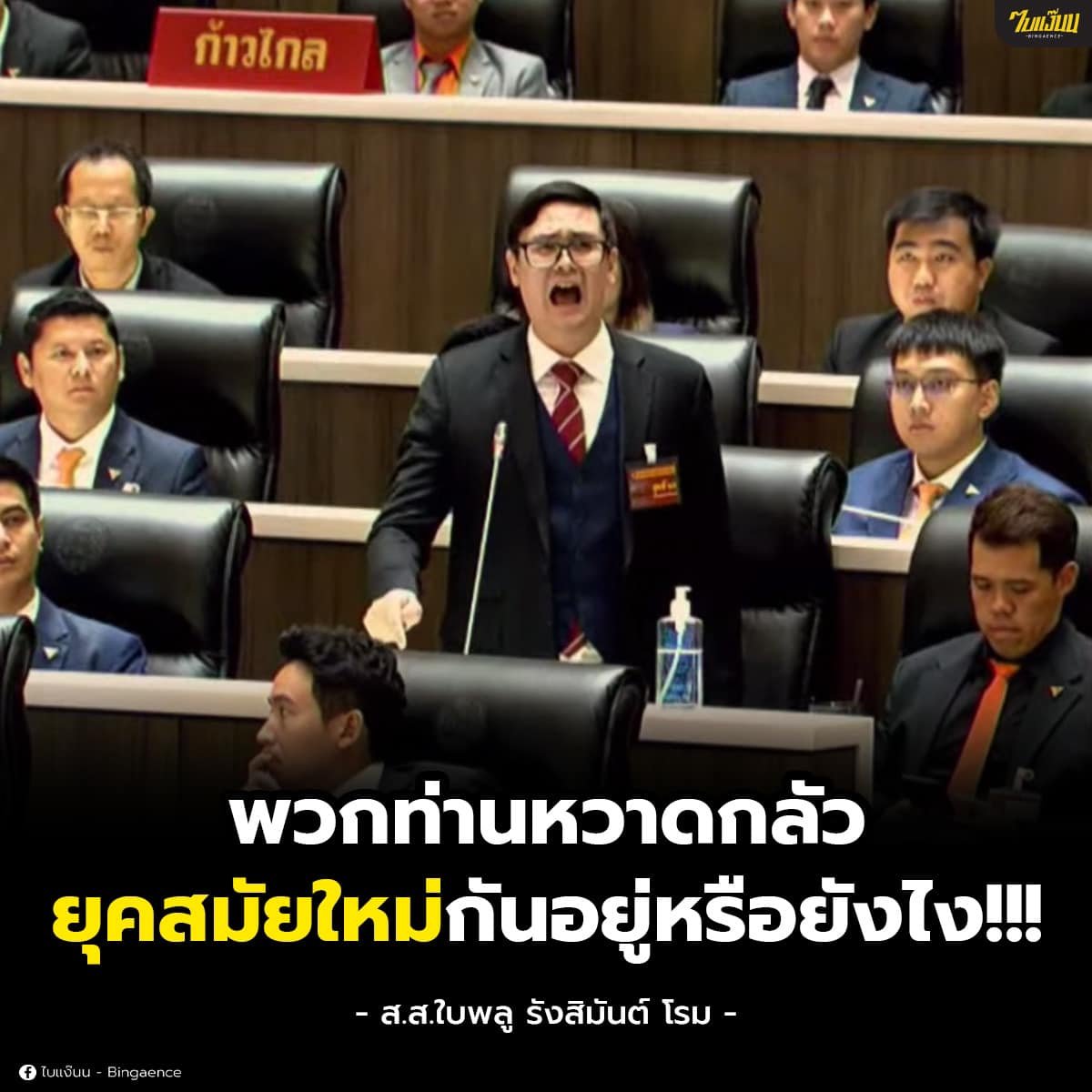 โจรสลัดใบพลู