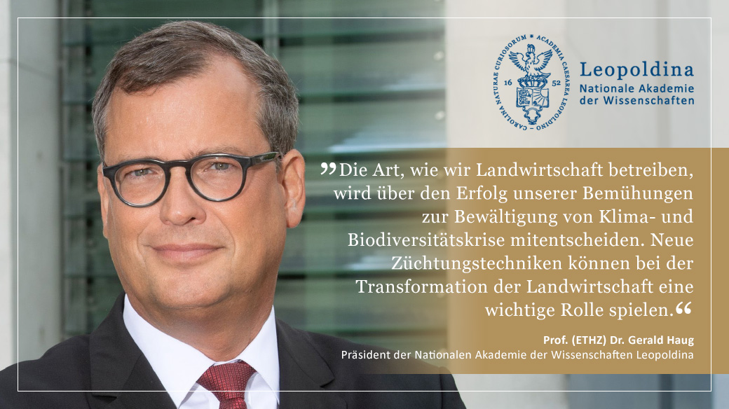 Nationale Akademie der Wissenschaften Leopoldina (@leopoldina) on Twitter photo Zur anstehenden Gesetzesänderung im Umgang mit neuen #Gentechnikmethoden: <a href="/dfg_public/">DFG public | @dfg_public@wisskomm.social</a> und Leopoldina unterstützen den Vorschlag der EU-Kommission, #Pflanzenforschung künftig zu erleichtern und das Potenzial neuer #Züchtungstechniken zu nutzen: leopoldina.org//presse-1/nach… Zur anstehenden Gesetzesänderung im Umgang mit neuen #Gentechnikmethoden: <a href="/dfg_public/">DFG public | @dfg_public@wisskomm.social</a> und Leopoldina unterstützen den Vorschlag der EU-Kommission, #Pflanzenforschung künftig zu erleichtern und das Potenzial neuer #Züchtungstechniken zu nutzen: leopoldina.org//presse-1/nach…