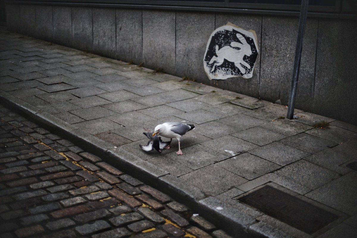 Graham Bruce tweet media