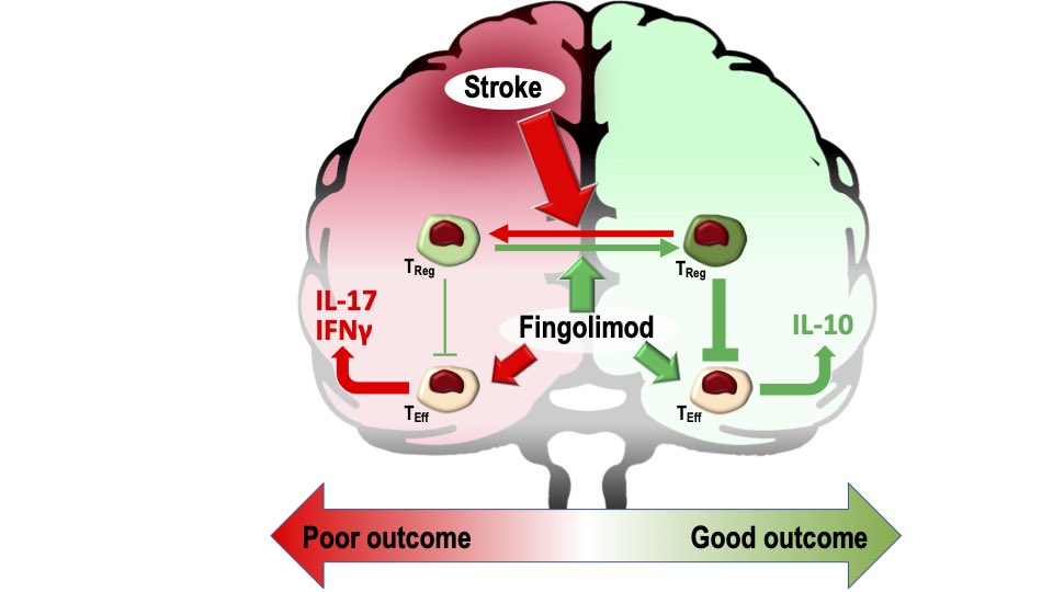 Anne Moore tweet media