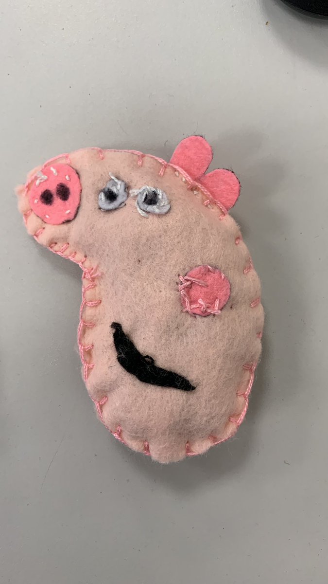 Year 5‘s (and my) amazing DT work. The brief was to design, make and evaluate a stuffed toy for a younger child. They had opportunities to practice a blanket stitch for the edges and explore different stitches to sew the appendages and features. @kapowprimary #primarydt
