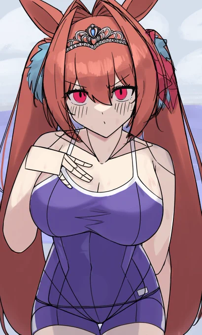 スク水ダスカwip