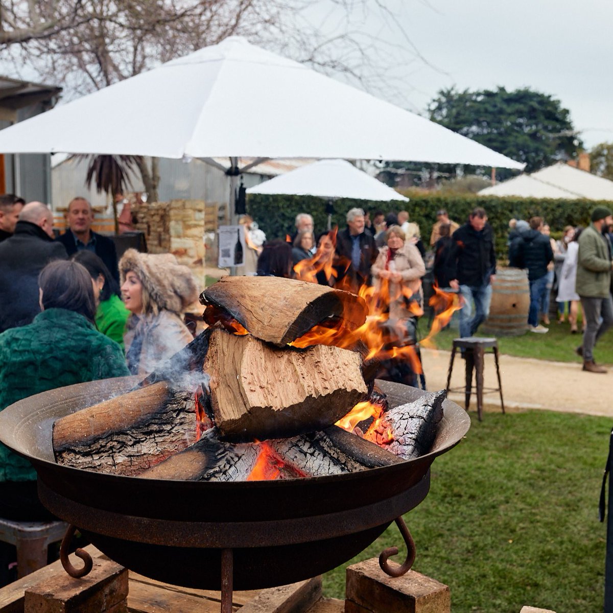 Pack your winter woolies and head to the #AdelaideHills when Winter Reds returns this July! From 28-30 July, @adelhillswine invites you to enjoy a wintry weekend celebrating their famed cool climate drops. Tickets on sale now. bit.ly/3rxJJsL #EventsSouthAustralia