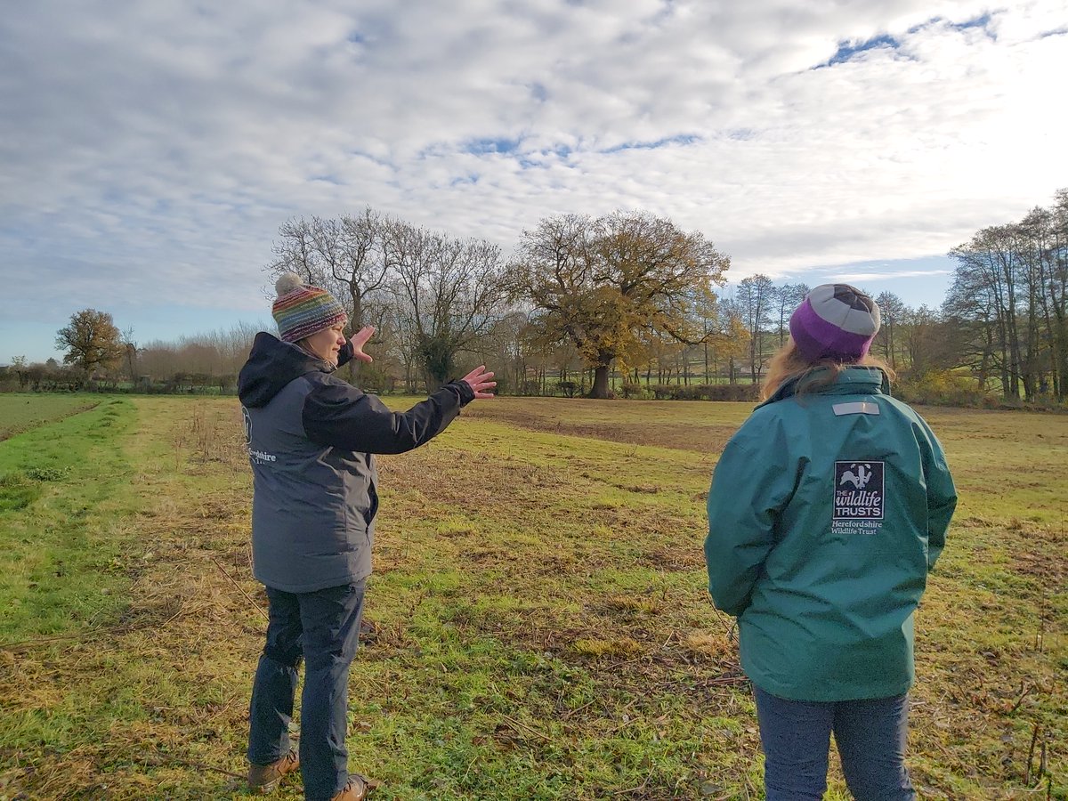 New land advice service to benefit farmers and nature herefordshirewt.org/news/new-land-… We've launched a new service to offer advice and support to farmers, landowners and small holders. #WilderHerefordshire @Hfds_RuralHub @HfdsCouncil @herefordtimes