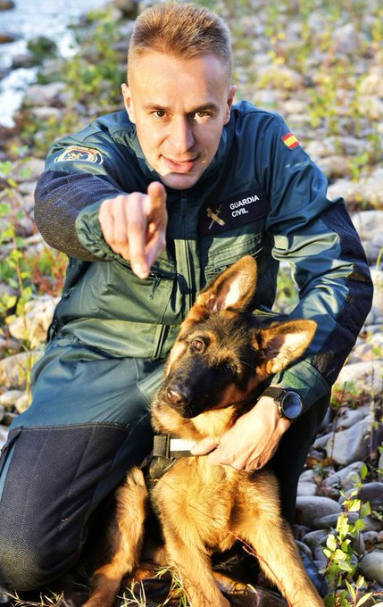 guardiacivil's tweet photo. ✅ Son fidelidad, esfuerzo, sacrificio, eficacia, confianza, respeto y cariño. 
✅ Son compañeros y también amigos. 
✅ Son un tándem perfecto.
We ❤ 🐕#ServicioCinológico 
@guardiacivil https://t.co/Cjz4yoLhhR
