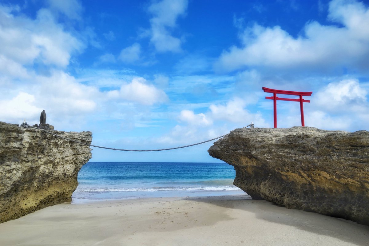 ぴんた(Pintaのサブ垢) tweet media