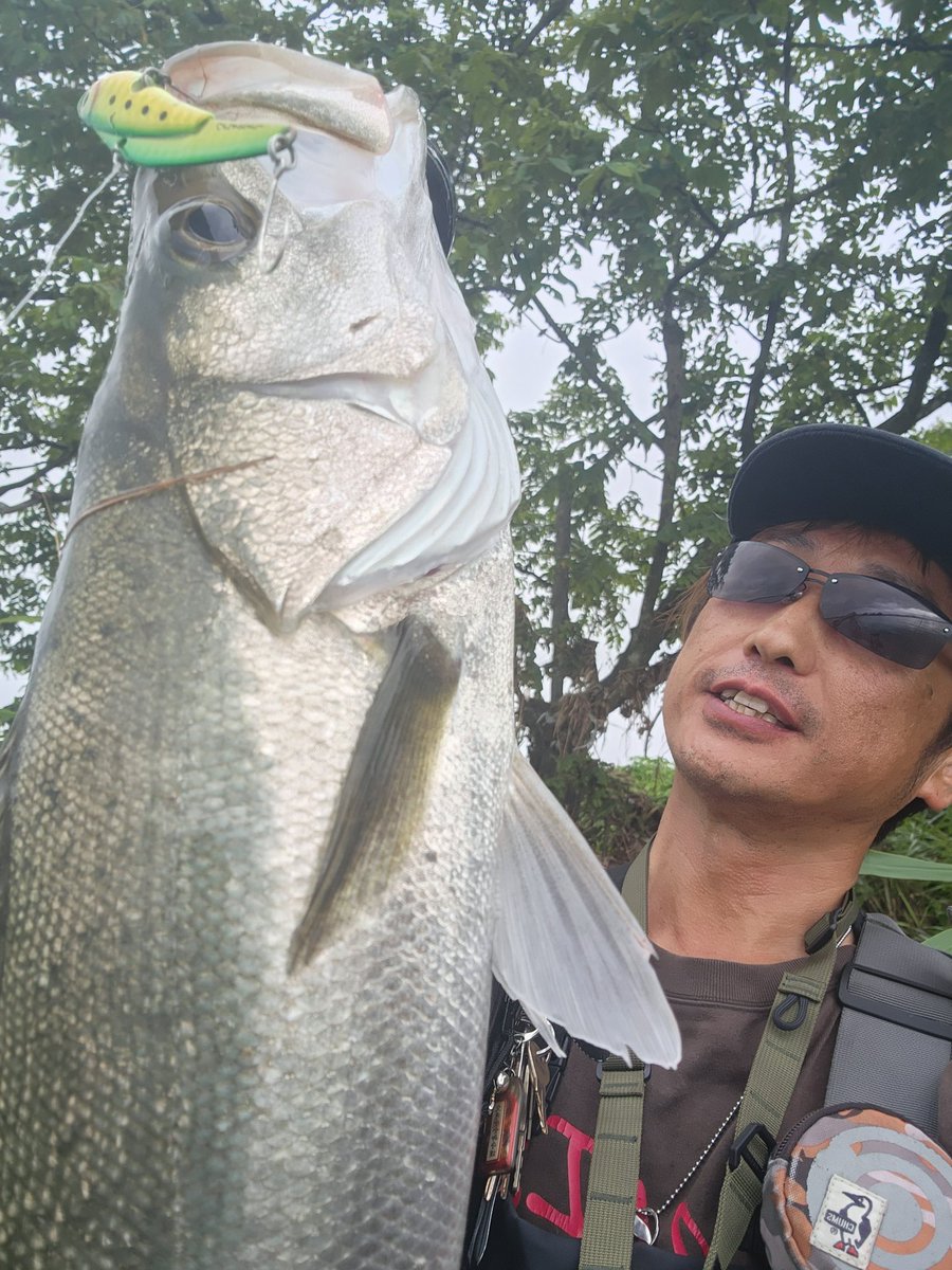 oohirarin's tweet photo. 今シーズンはIP18のフィーリングがいいね👍️
#シーバス
#デイゲーム
#SEABASS
#COREMAN
#コアマン
#コアマンの夏
#コアマンの夏2023
#IP18
#アイアンプレート
#バリバス
#VARIVAS
#アバニシーバスPE
#シーバスショックリーダー https://t.co/8zzhE2UbpR
