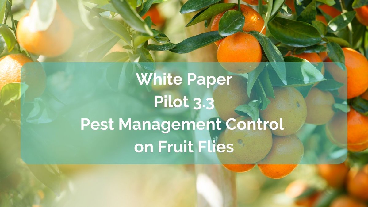 Pilot 3.3 focuses on providing a set of tools to monitor and manage the Mediterranean fruit fly which is a dangerous pest with a wide range of distribution and host plants🍊

📰h2020-demeter.eu/wp-content/upl…

#IoT #smartfarming