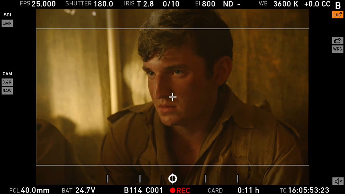 Forrest Bothwell tweet media