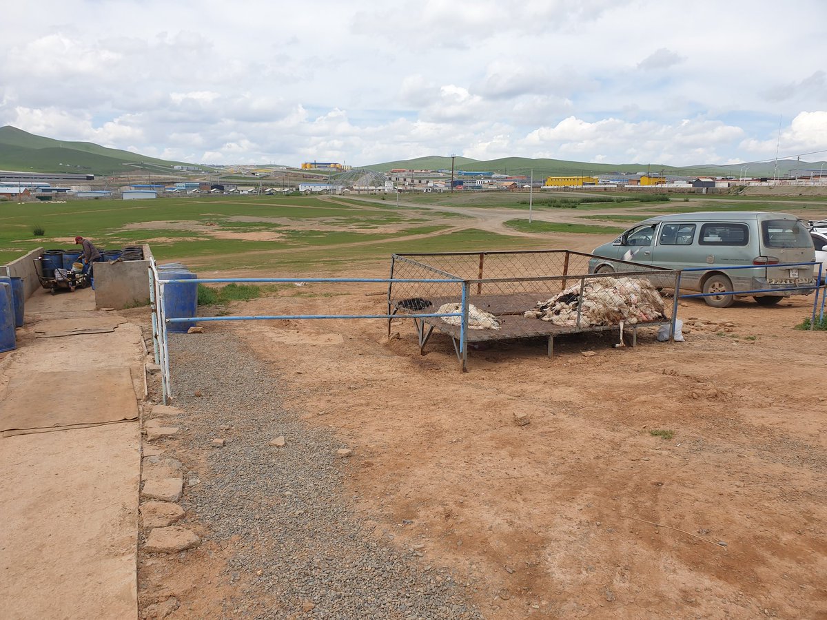 Өнөөдөр Эмээлт дээр ирж хонь авлаа. Арьс нь уг нь өлөнтэйгөө 2000 төгрөгөөр авдаг байсын 4 жилийн өмнө. Одоо бол шууд хаяж байна. Уг нь өдийгийн арьс үсгүй, нэхий эдлэлд яг таарсан байдагсан. Хятадууд урагшаа авдаг байхад 10.000 төгрөг хүрдэг байсан эд. Монголын баялаг цоолсон