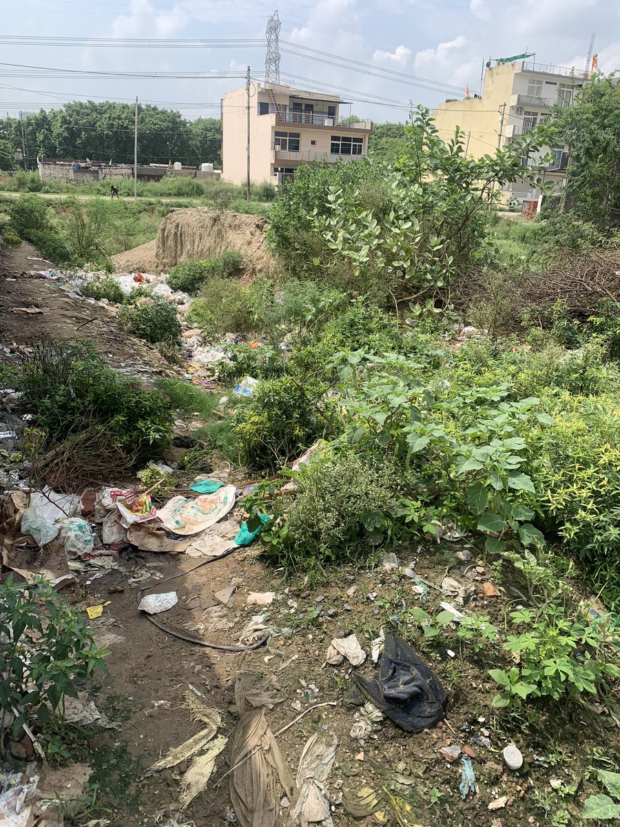 MohitIdea's tweet photo. Again same condition, no one has come to clean here. @OfficialGNIDA https://t.co/OYpnXZj97S