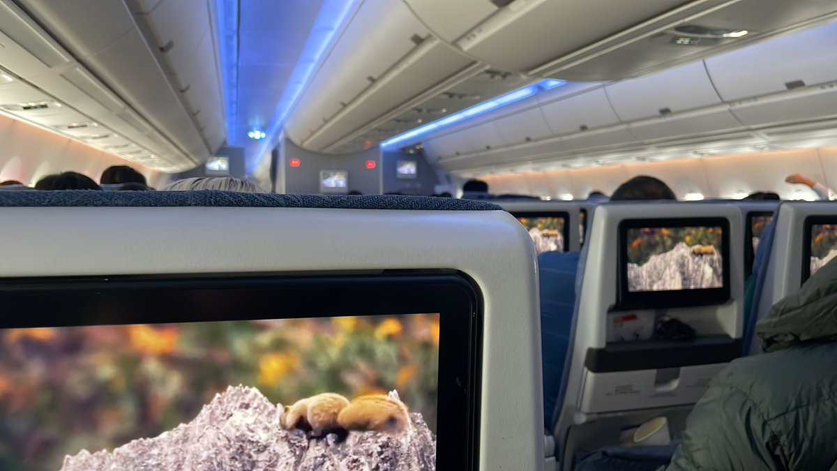 Elva Zhao tweet media