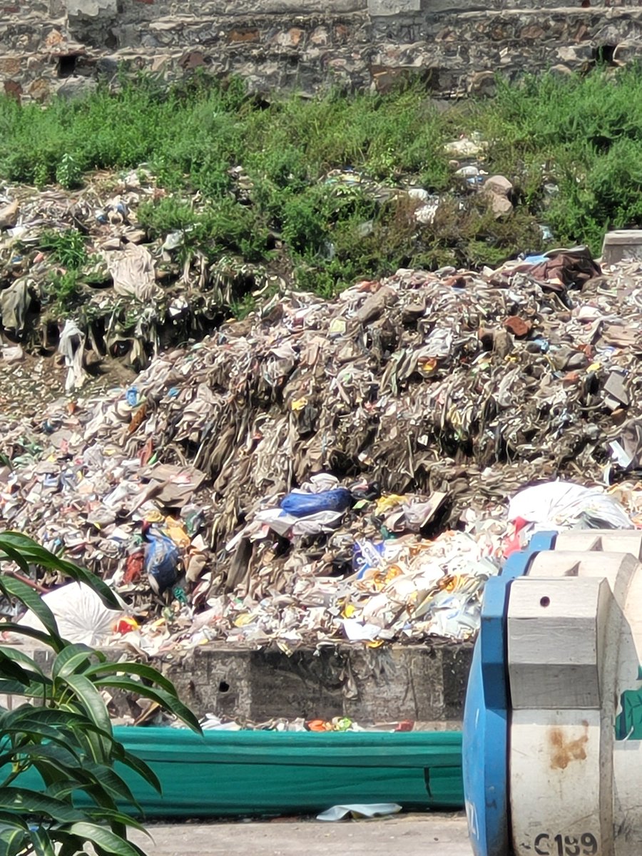 Ruchiamitbhas's tweet photo. @MCD_Delhi @LtGovDelhi @OberoiShelly @GyaneshBharti1 Filed garbage dumping complaint on 29th June, no resolution yet and to make matters worse mosquito season has also begun https://t.co/6HSGGMvB0g