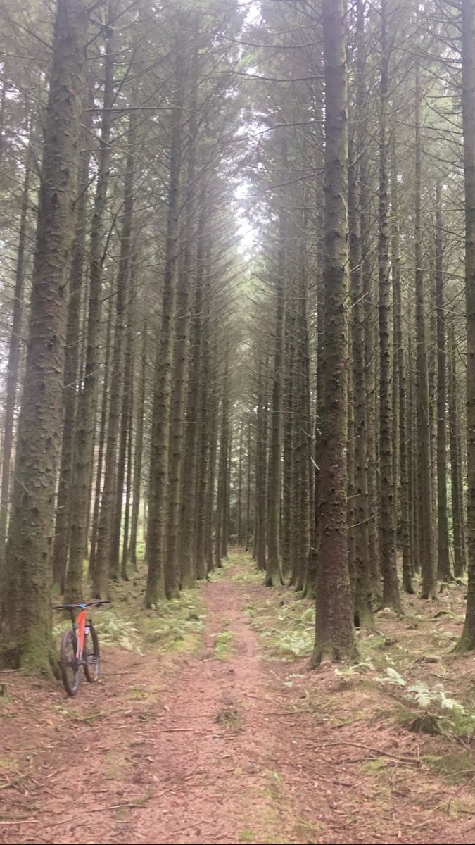 JulianJ80289895's tweet image. Yesterdays hardtail xc through the local 🌳… the loam was 👌✌️💙
#Absoulatemtb1 #hardtail💙 #lovewhereyoulive #walesneverfails
