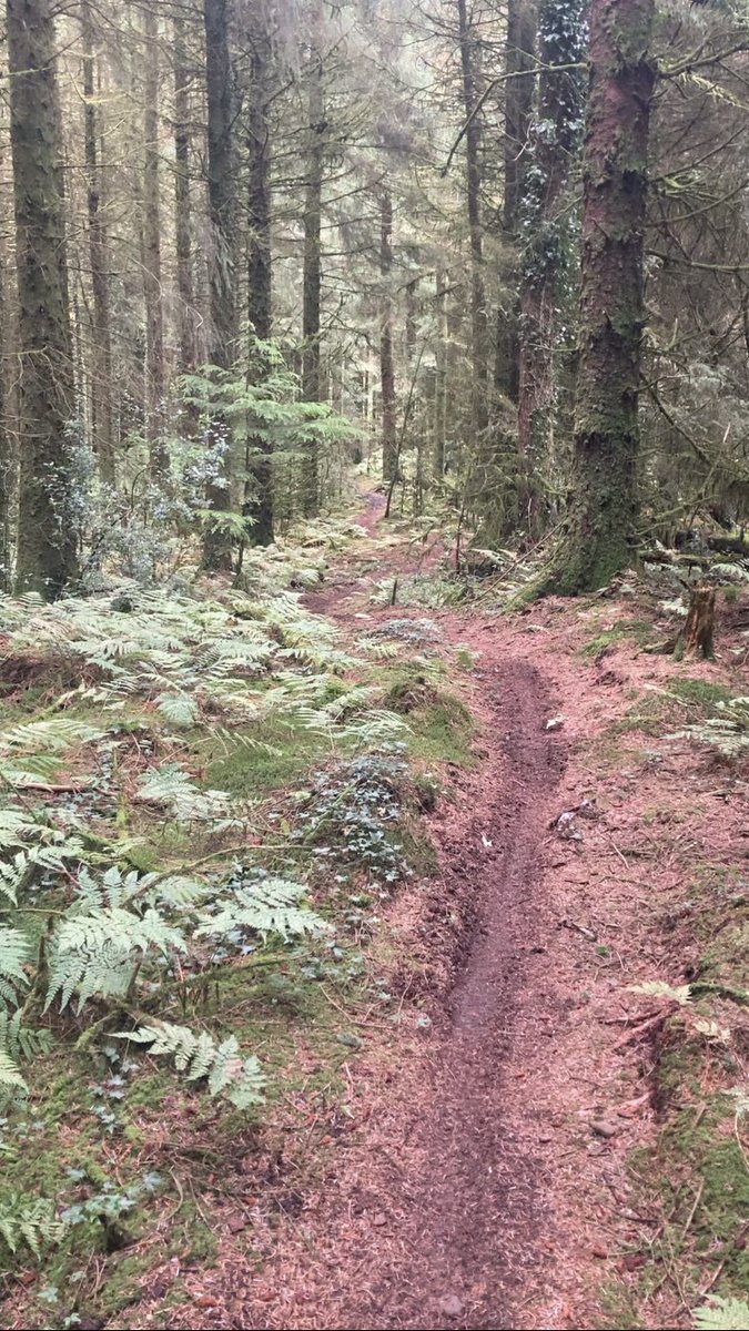 JulianJ80289895's tweet image. Yesterdays hardtail xc through the local 🌳… the loam was 👌✌️💙
#Absoulatemtb1 #hardtail💙 #lovewhereyoulive #walesneverfails