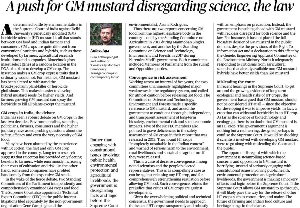 My column today on HT #GMMustard, and the govt's attempt to confuse the Supreme Court & the public. 
Evidence of risks from herbicide-tolerant (HT) crops is growing. And the govt's response is that HT mustard should not be considered HT!

In @TheHinduComment