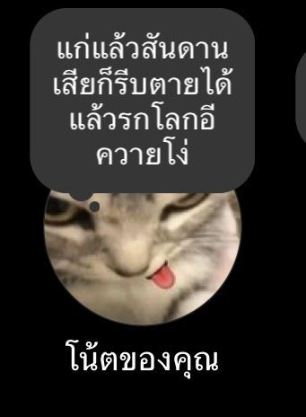 iam_nicha's tweet photo. #ประธานสภา #โหวตนายกรอบ2 #สมาชิกวุฒิสภา https://t.co/g19Z0LTbhS