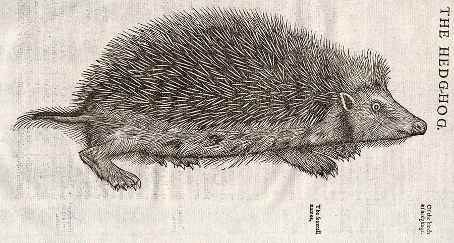 David Cooper tweet media