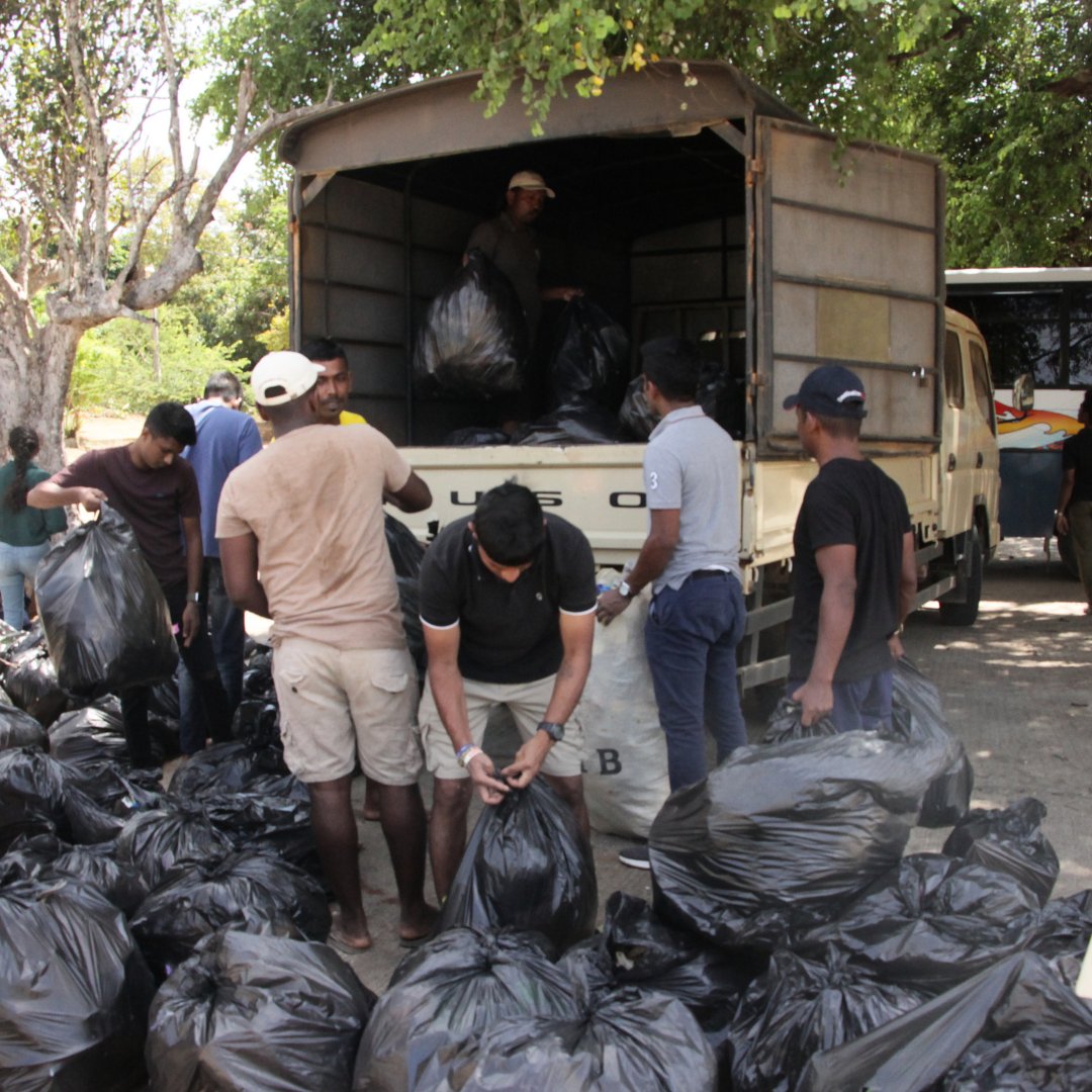 Resplendent Ceylon tweet media
