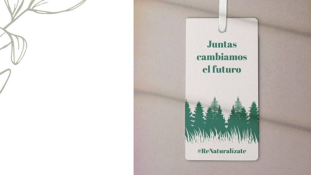 Queremos crear hoy el bosque del futuro, con cada compra online te regalamos tu sobre de semillas autóctonas silvestres de interés ecológico y símbolo de la Comunidad para Marcas Responsables de Creadoras de Bosques. buff.ly/33UyG0O #Plantaciones #BolsosMonai