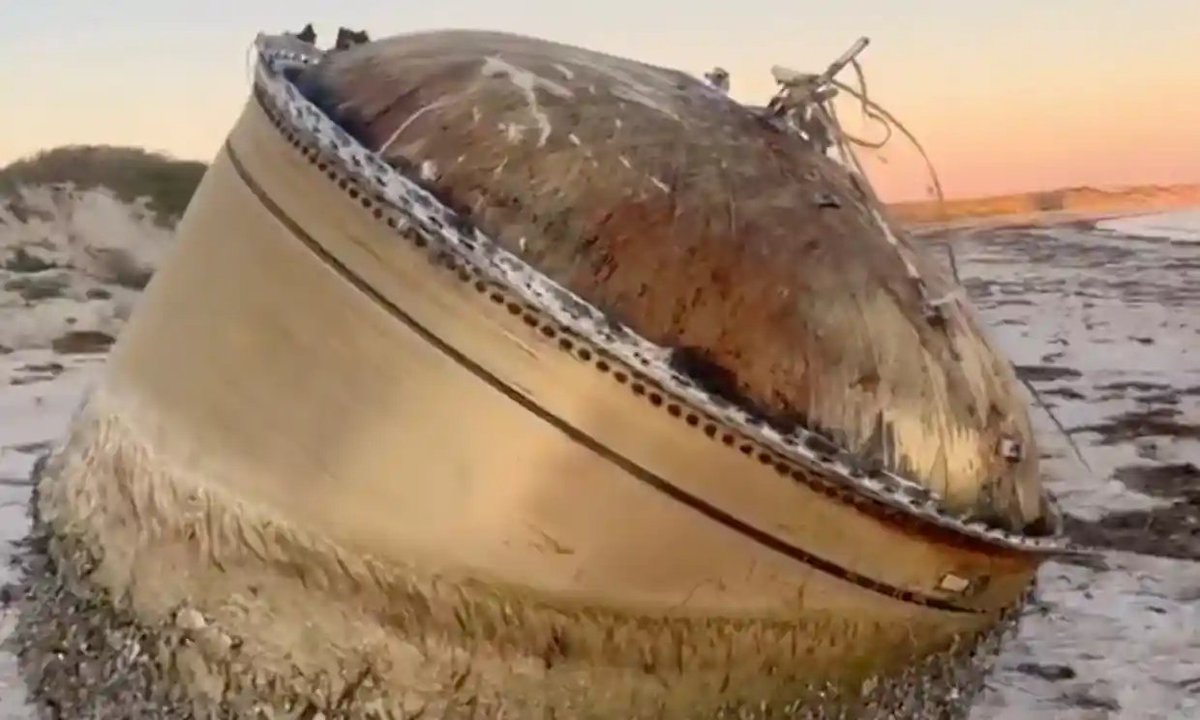 That looks exactly like the thing that washed up on the coast of WA this week...
theguardian.com/australia-news…