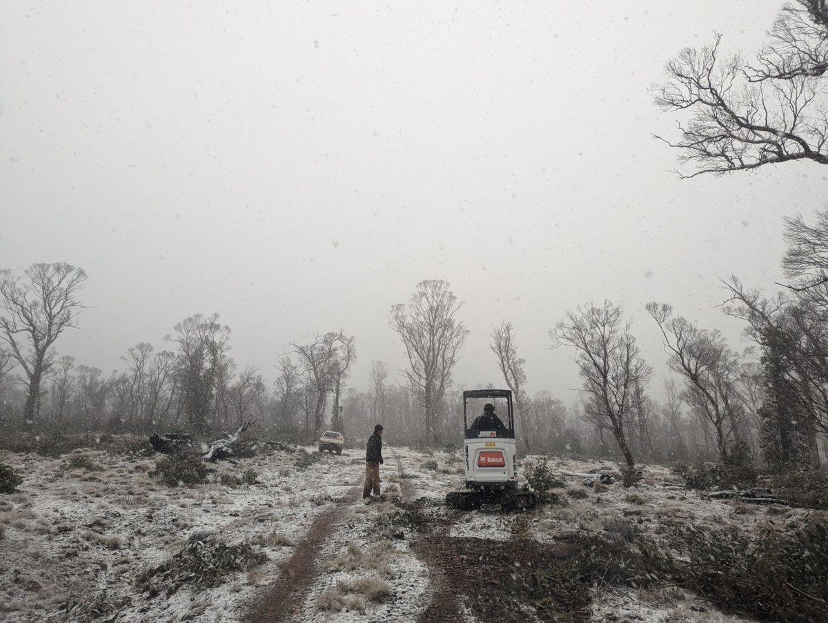 Tas_Land's tweet photo. 🤌👌 Perfect weather for access management works at TLC's Five Rivers Reserve today. Our Reserves Team know what #hardyakka is.
#snowbart ❄️🌨️ https://t.co/MkM5WX1MdY