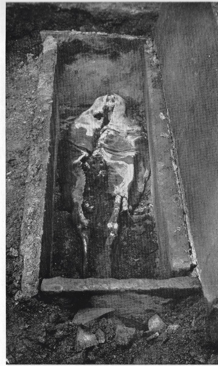 BMArchaeology's tweet photo. Here’s a 3D model of a grave marker in the presbytery at Tintern Abbey. In the late 1920s a burial was found wrapped in a cow hide shroud. It is poss that this burial is under the grave marker. Thanks to David Robinson and his on going research @cadwcymruwales @archaeodomus https://t.co/H5Ss1f73GM