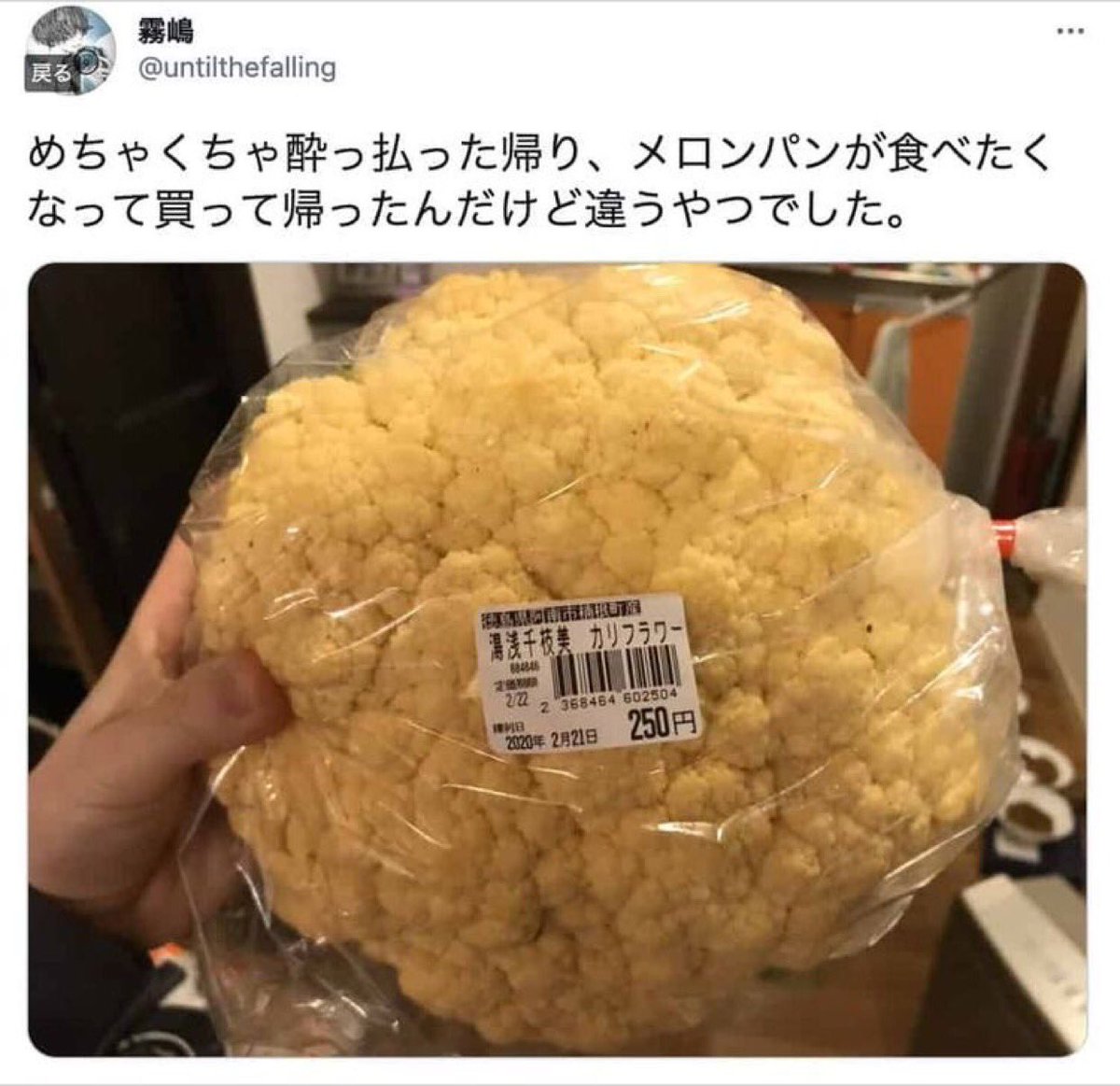 ksk_nonrotation's tweet image. めちゃくちゃ酔っ払った帰り、