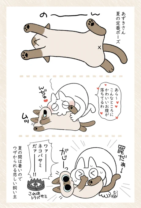 罠だ! #シャム猫あずきさんは世界の中心