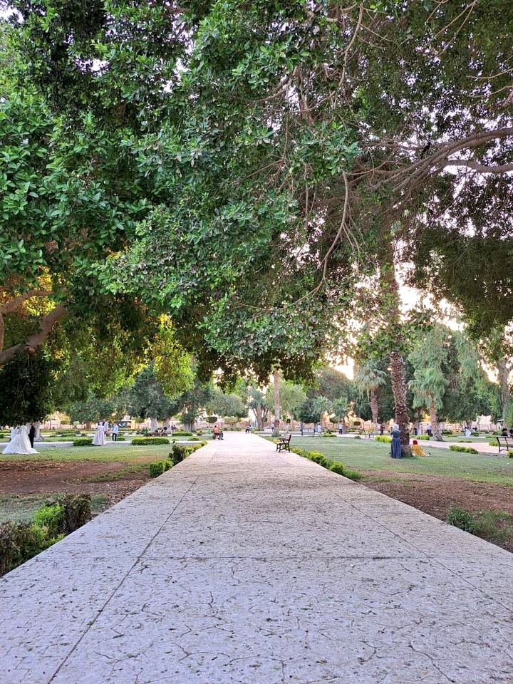 صباح الخير يا سويس ❤❤