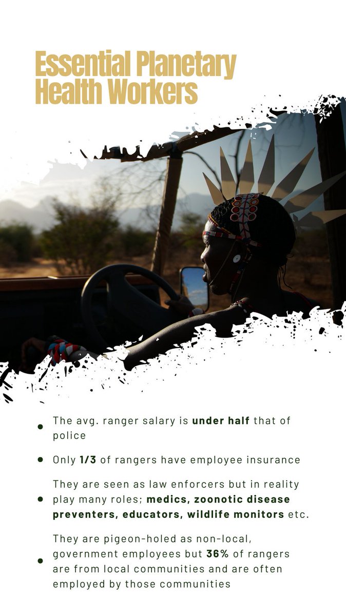 Hannah Timmins tweet media