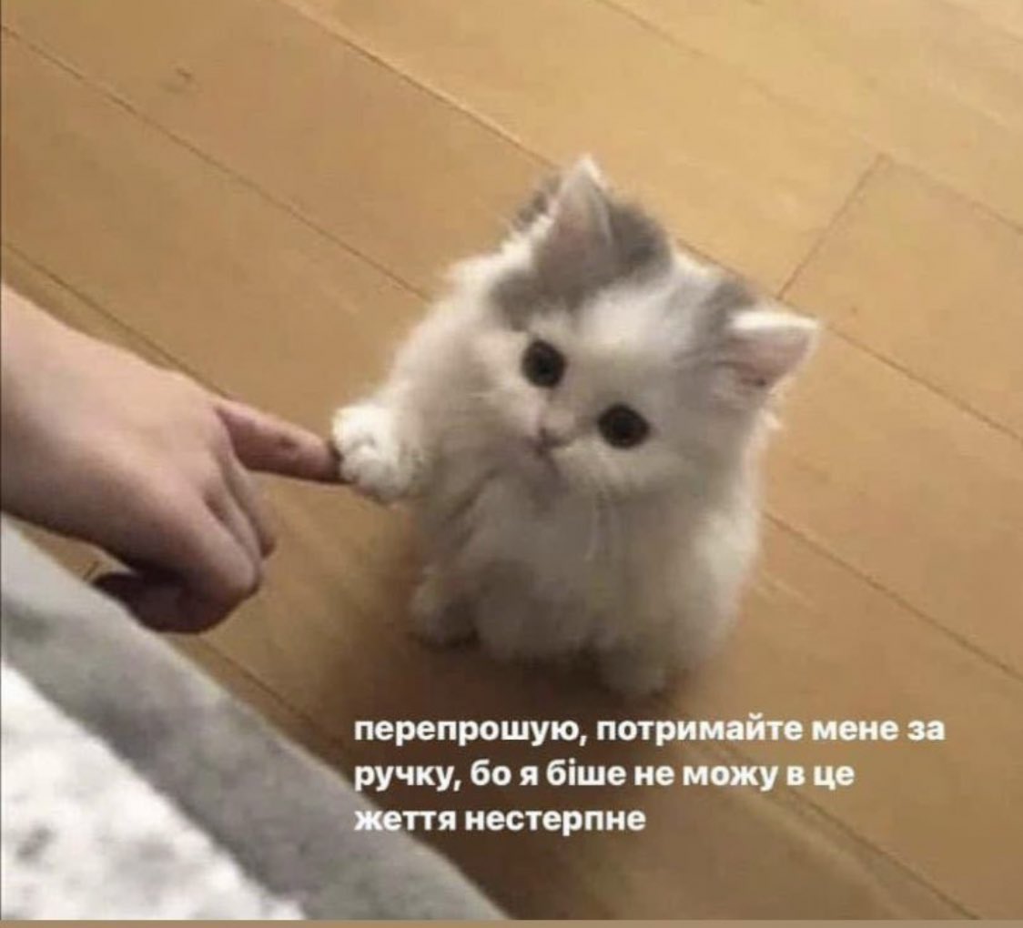 MelaniePodolyak's tweet photo. https://t.co/oL9PdNOvNr
