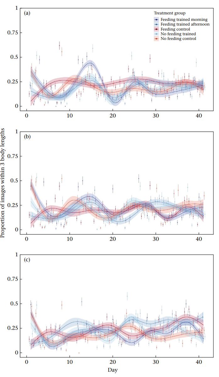 SouthernSharkEG (@southernsharkeg) on Twitter photo Free access to our new paper led by <a href="/DH_Freedive/">Dennis Heinrich</a> Sharks are smart but they couldn't learn a time-place association after 41 days of daily reinforcement authors.elsevier.com/c/1hRRgmjM2Rdo Free access to our new paper led by <a href="/DH_Freedive/">Dennis Heinrich</a> Sharks are smart but they couldn't learn a time-place association after 41 days of daily reinforcement authors.elsevier.com/c/1hRRgmjM2Rdo