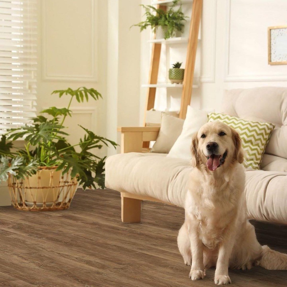 Do you worry about the impact slippy floors can have on your dog’s joints?

@floorsforpaws provide hard-wearing, realistic wood effect flooring. It’s scratch resistant and anti-slip, perfect for paws old and young!

https://t.co/wW7wuujF1D

#Earlybiz #MHHSBD https://t.co/13VpNeIcgj