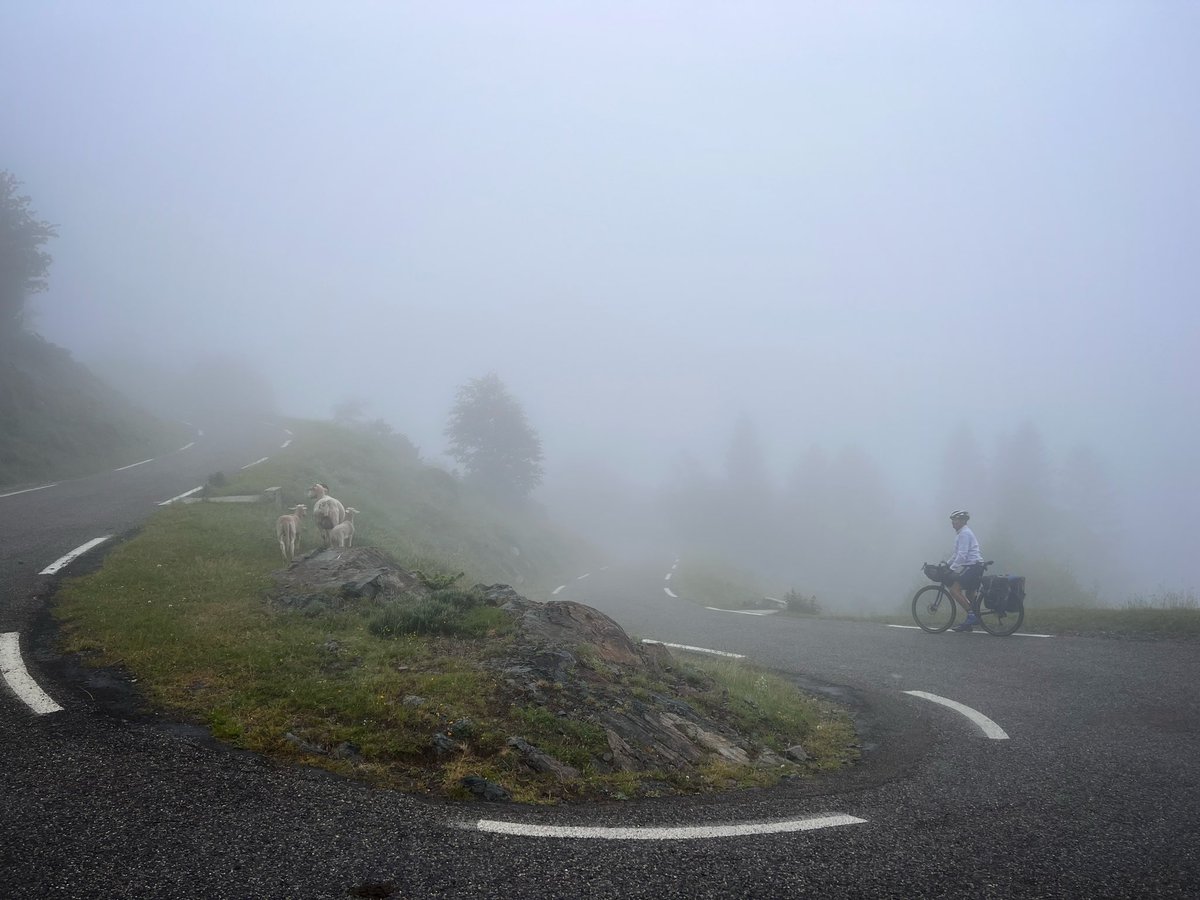 BellaCycling's tweet photo. Throwback to getting to the top of Col de Pailheres on our Pyrénées Traverse. Worst fog conditions I’ve experienced with a complete white out for the final 6kms. No real traffic bar some cows and sheep. Great climb. Still wonder what the views are like! #cycling #RaidPyrenees https://t.co/IyfPXl5jWr