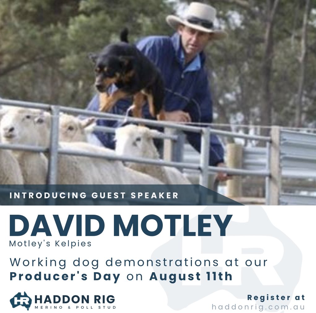 haddonrigstud tweet media