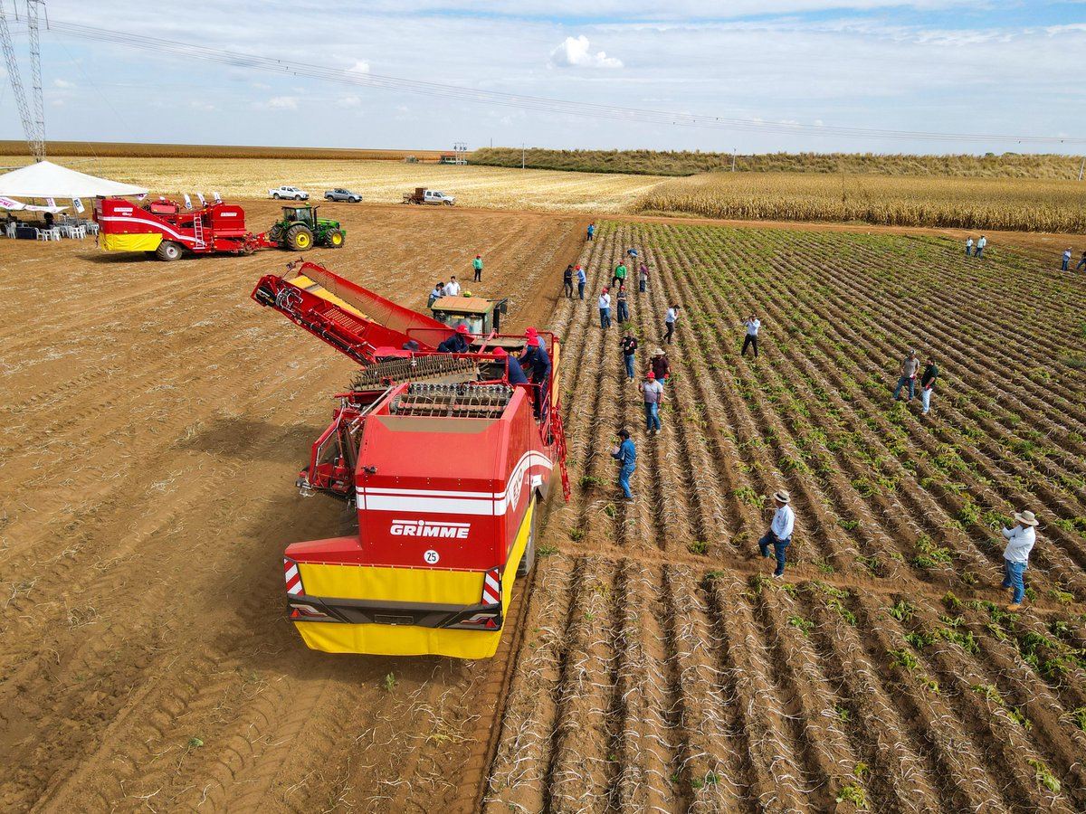GRIMMEGroup's tweet photo. #GRIMMEworldwide
Our #RowShow is also going on in Brazil. Together with our local dealer, we welcomed many interested potato growers. We started with a walk around, followed by a field demonstration and ended with a delicious fresh barbecue.
#GRIMME #worldwide #brasil #potatoes https://t.co/HKXkaSPEhx