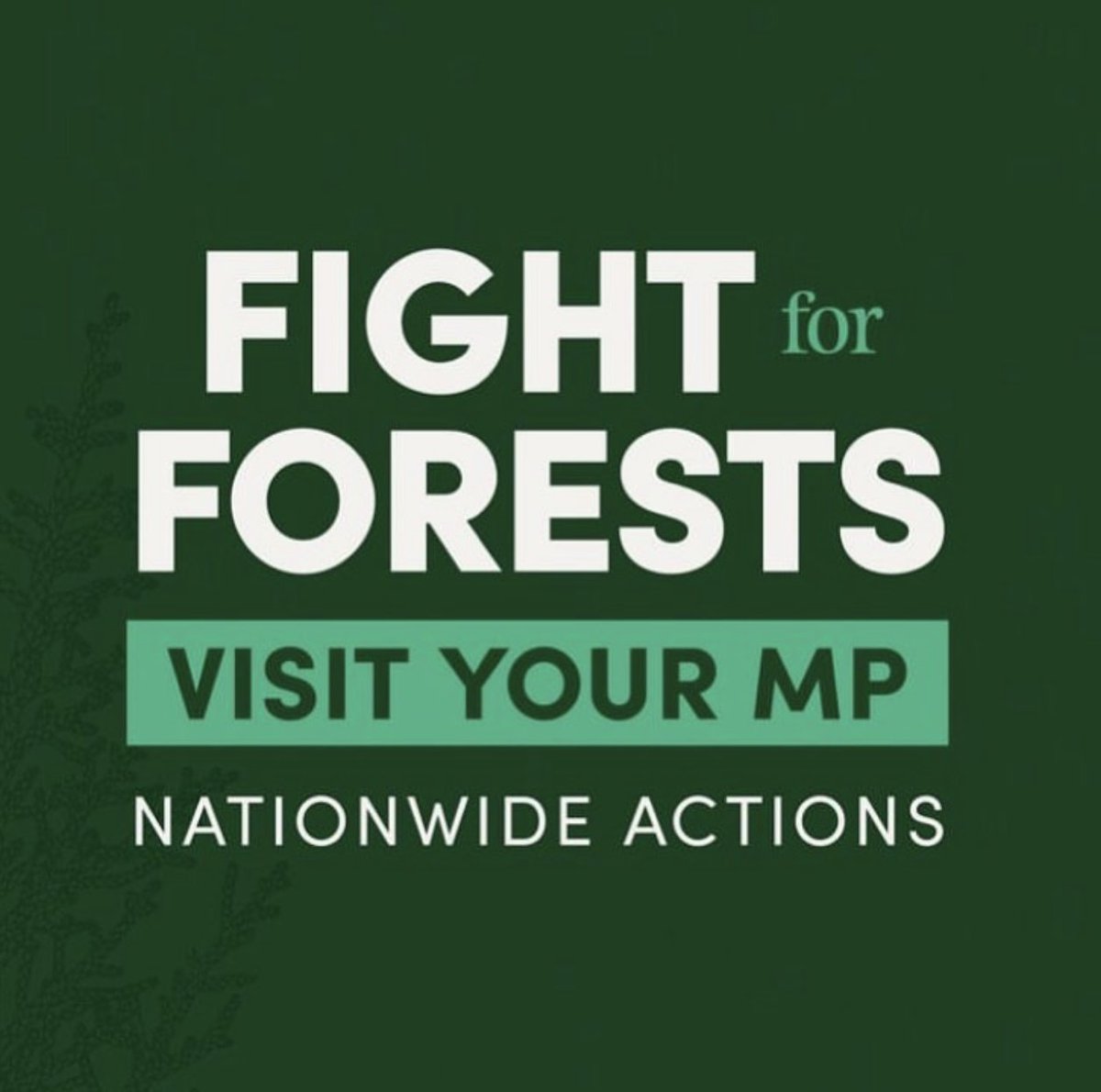 Are you ready to fight for #forests? If we have learned anything from #thegiantsfilm, it's that there is nothing like the fear of losing their seat to get a MP to actually FOCUS! Details: defendthegiants.org/meet-mp/ #deforestation #auspol #ClimateEmergency