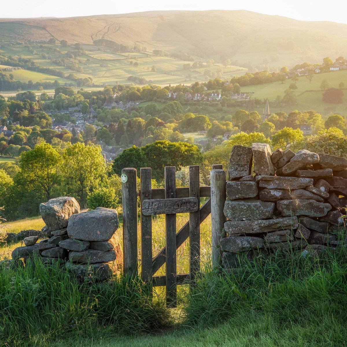 peaklass tweet media