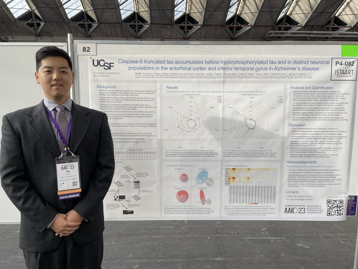 Good morning Amsterdam 🇳🇱! I’m excited to share my work on the accumulation of caspase-cleaved tau across Alzheimer’s disease Braak stages at #AAIC23 today! Drop by P4-082 if you’d like to see what I’ve been up to or just to say hello! 🧠 <a href="/UCSFmac/">UCSF Fein Memory and Aging Center</a> <a href="/GrinbergLabUCSF/">Grinberg Lab UCSF</a>