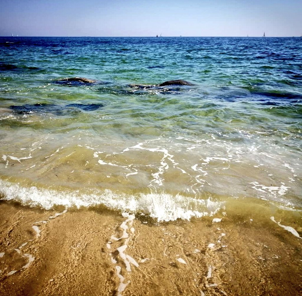 tofargov's tweet image. ⚓ les pieds au frais à Kerguelen / Larmor-Plage 💙

#MagnifiqueBretagne #Lorient #Larmor #Morbihan #Bretagne #Breizh