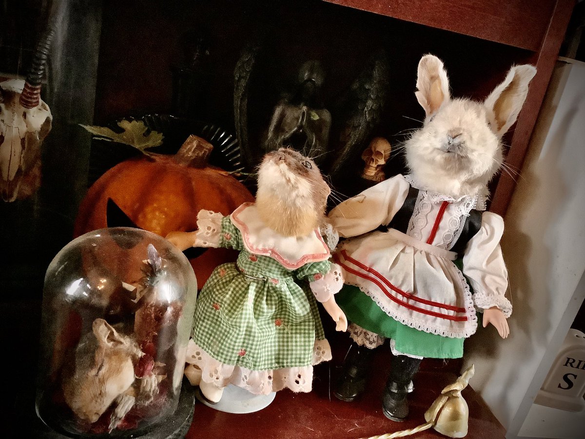 As discussed <a href="/GailHemsworth/">Gail Hemsworth</a> here is Baby Abigail (white rabbit 🐇) <a href="/MrsHudson1H/">Mrs Hudson</a>