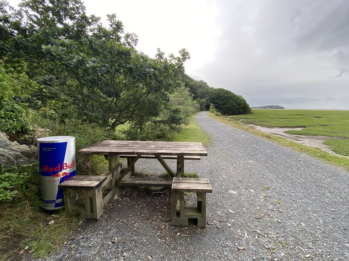 Misplaced? @eryrinpa <a href="/RedBullUK/">Red Bull UK</a> #Mawddachtrail