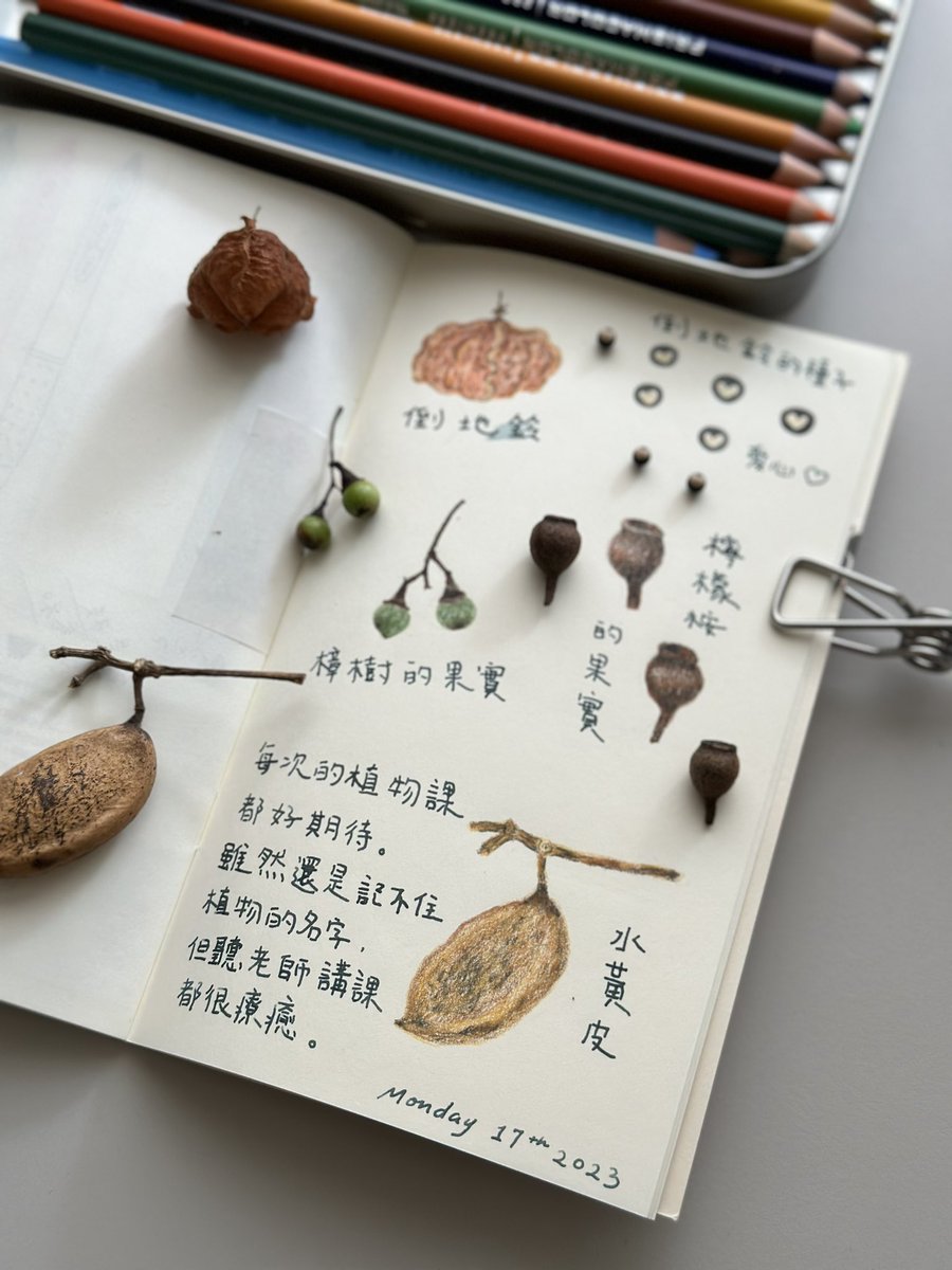 ivysnowx's tweet image. 今日　#手帳　#ivysnow #journalspread