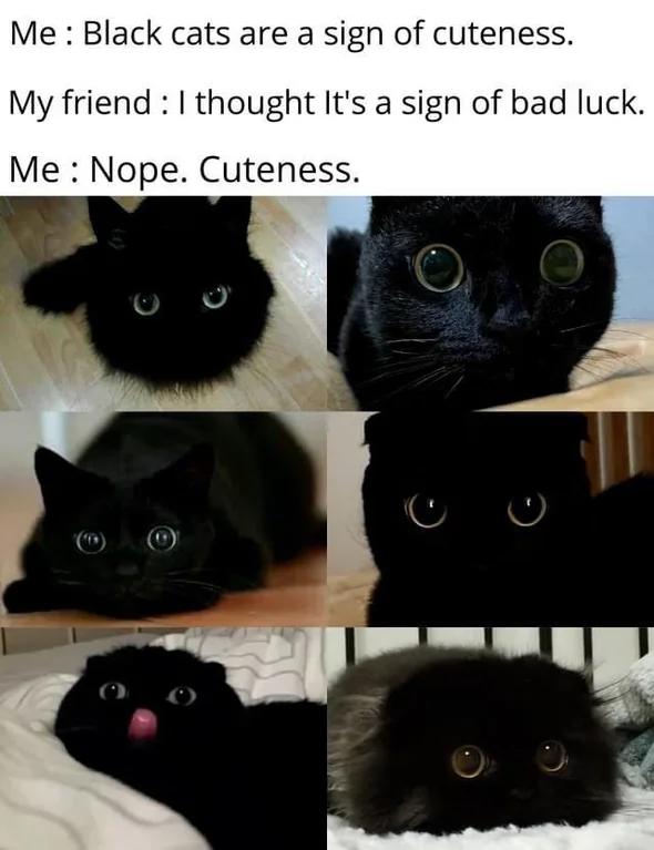 WholesomeMeme's tweet photo. https://t.co/KTPkLKAIdc
