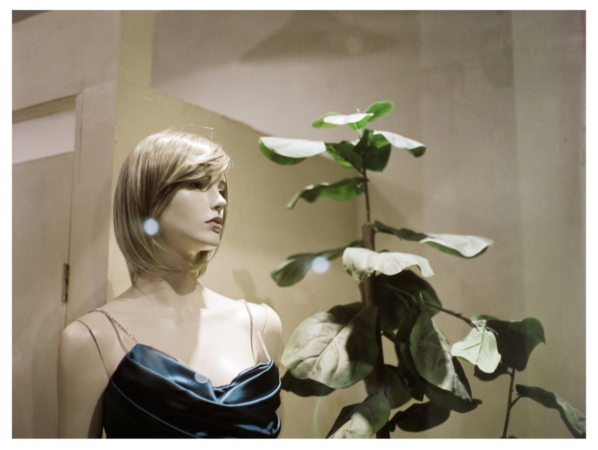 Fujifilm Pro 400H
Mamiya M645

#veracruz
#mamiya645 
#pro400h